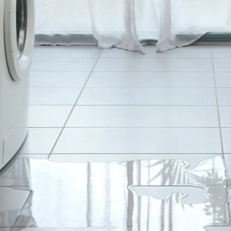 Appliance Leak Cleanup in Great Bend, KS