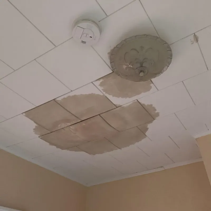 Ceiling Water Damage Repair in Great Bend, KS