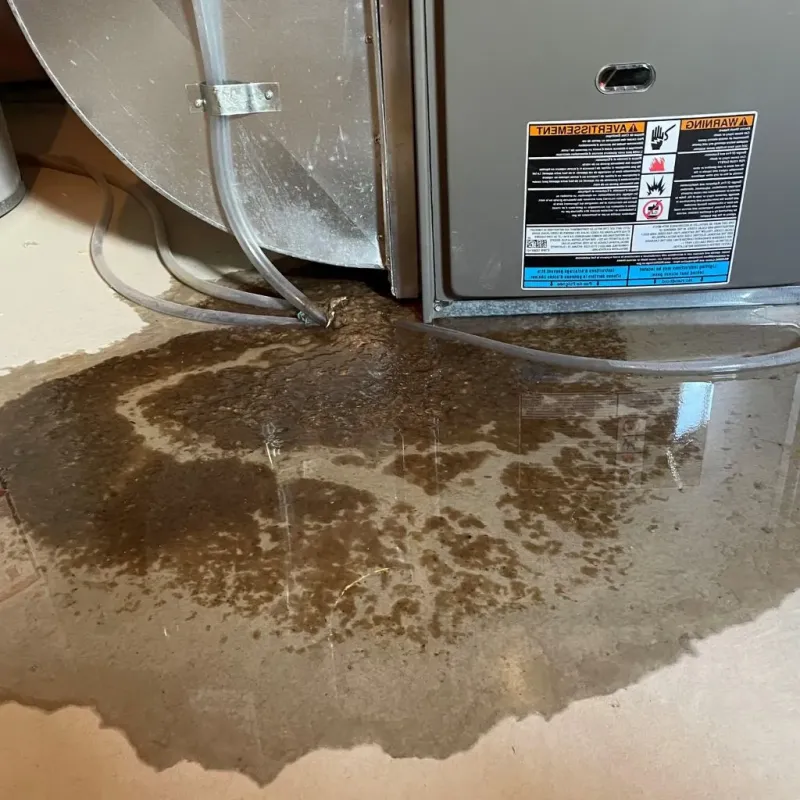 Pipe Burst and Leak Restoration in Great Bend, KS