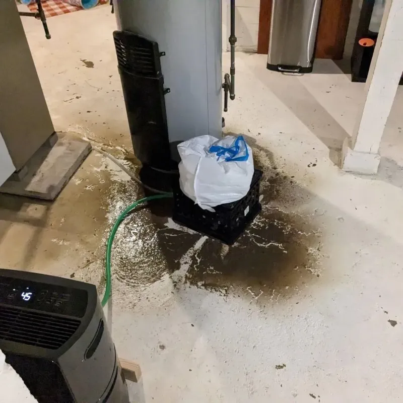 Sewage Backup Cleanup Service in Great Bend, KS
